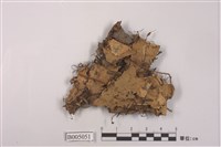 藏品(犬地卷)的圖片